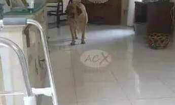 Imagem 5: Casa com 4 dormitórios à venda, 170 m² por R$ 640.000,00 - Guaíra - Curitiba/PR