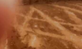 Imagem 4: Lotes no asfalto em ótima localização