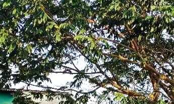 Imagem: CASA NA VILA ELZA 65mil