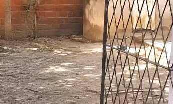 Imagem: Casa com pontos comercial, quintal amplo