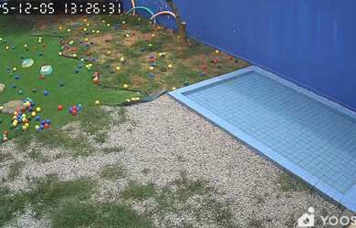 Imagem 2: Vende-se creche hotel e banho tosa para cães