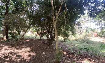 Imagem 5: Terreno 4.340 m² - 18 min Pirinópolis - 12 min Salto Corumbá - Plano e Arborizado