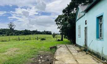 Imagem 7: Imóvel no Nova Vila, Ivoti