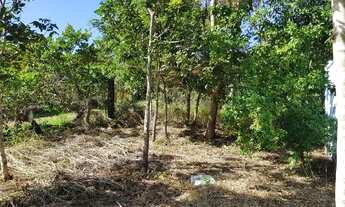 Imagem: Chácara em Santo Antônio de Leverger