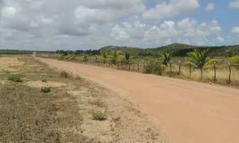 Imagem 2: Terreno Loteamento Coqueiral Santa (1.320 m²