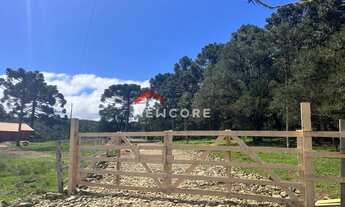 Imagem 2: Chácara em Estrada Geral Contendas - Contendas - São Francisco de Paula/RS