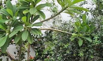 Imagem 5: Casa conj: ponta negra