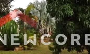 Imagem 6: Chácara em Área Rural - Área Rural de Uberlândia - Uberlândia/MG