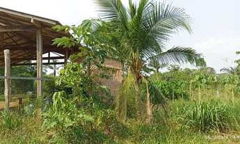 Imagem: Vendo Sítio na Estrada de Autazes