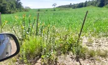 Imagem 6: Fazenda Beira Rio Manso em Chapada
