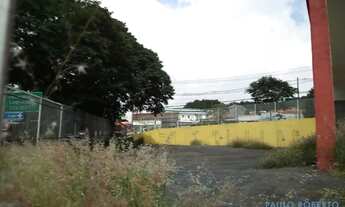 Imagem 4: TERRENO - ALTO DA LAPA - SP