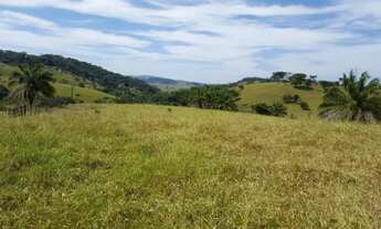 Imagem 3: Fazenda 275 Alqueires - Cultura