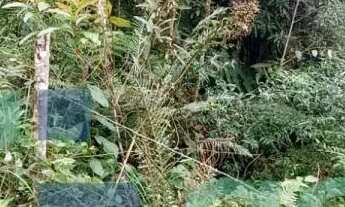 Imagem 5: Terreno/Área à venda com 45.997,46m² no São João