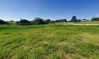 Imagem 7: LOTE/TERRENO PARA LOCAÇÃO E VENDA NO CHÁCARAS SÃO MARTINHO EM CAMPINAS-SP