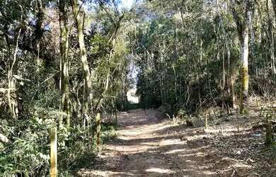 Imagem 5: Lote aceita pet e veículo