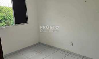 Imagem 4: Apartamento charmoso 2 quartos na Zona Sul