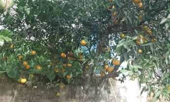 Imagem 4: Vendo ou troco por sitio