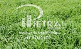 Imagem 5: Fazenda/Sítio/Chácara para venda possui metros quadrados em Zona Rural - Natividade - TO