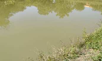 Imagem 2: Guapó - Chácara com muita água