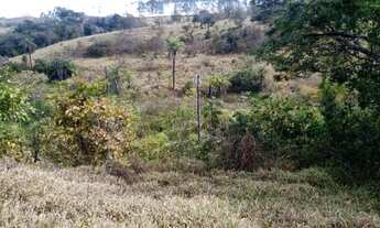 Imagem 6: Terreno 29ha, terra boa e quase todo formado em branquearão, Baldim