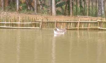 Imagem 6: Chácara Ibiúna - Vargem do Salto