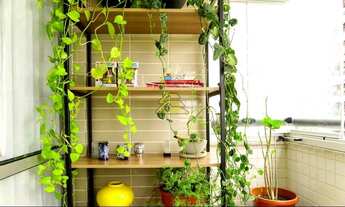 Imagem 7: Rio de Janeiro - Apartamento Padrão - Barra da Tijuca