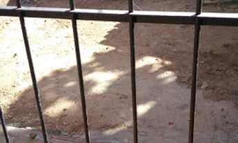 Imagem 5: Vendo casa Casa com 3 dormitórios