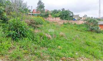 Imagem 9: Terreno em declive, na Colônia Antônio Prado - Almirante Tamandaré, PR