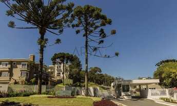 Imagem 2: Terreno em condomínio no Pilarzinho - ARYA 1