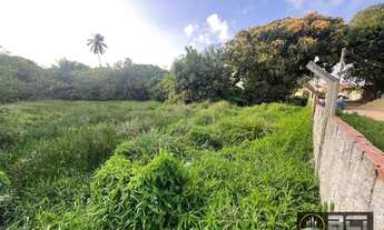 Imagem 2: Área, 3270 m² - venda por R$ 630.000,00 ou aluguel por R$ 630.000,00 - Barra de Jangada