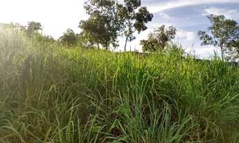 Imagem 2: Terreno de 06 Alqueires - Colinas do Sul/GO