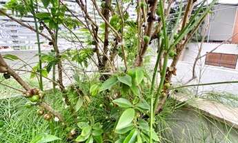 Imagem 5: BELÍSSIMA CASA CHARMOSA, ILUMINADA EM MOEMA