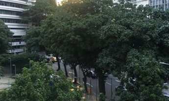 Imagem 3: 3 quartos com ou sem mobília-Praça Eugênio-Metrô Corte do Cantagalo