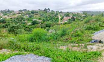 Imagem 2: Terreno em declive, na Colônia Antônio Prado - Almirante Tamandaré, PR