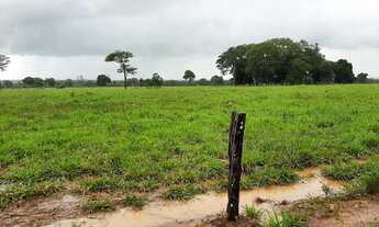 Imagem: Vende se fazenda 217 Alq. Mundo Novo - GO