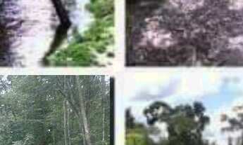 Imagem: Sitio, com corredeira, pousada, na BR 174