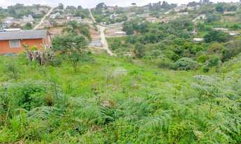 Imagem 6: Terreno em declive, na Colônia Antônio Prado - Almirante Tamandaré, PR
