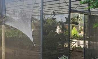 Imagem: Orquidário ecomerce empresa em funcionamento