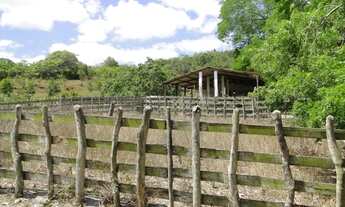Imagem 2: Fazenda à venda, 270 Hectares por R$ 3.500.000 - Região de Mamanguape-PB
