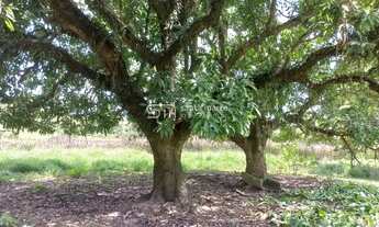 Imagem 2: SÍTIO PLANO, COM CASA, PROXIMO À VIA DUTRA LORENA SP