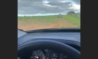 Imagem 3: Fazenda em Ribeira do pombal Bahia