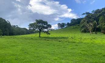 Imagem 7: Ml - Vende-se Terreno,Venha conhecer esse lindo local