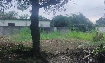 Imagem 4: Vendo 1 lote em austin endereço tinguazinho