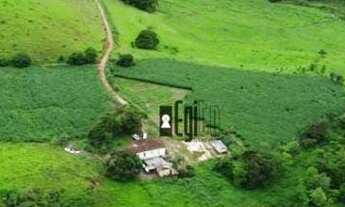 Imagem 6: Fazenda à Beira do Asfalto em Tabuleiro !!!