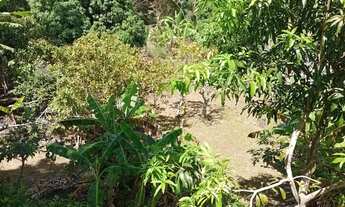 Imagem 5: Sítio a venda Chácara com venda por R$150.000