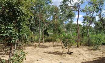 Imagem 5: Chácara Chácara com venda por R$95.000