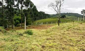 Imagem 7: DV- Vendo terreno barato próximo ao centro !!!