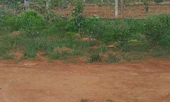 Imagem: Venda de chácara