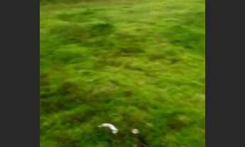 Imagem 5: FAZENDA LOCALIZADA EM ARIPUANÃ-MT