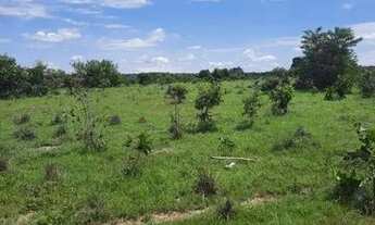 Imagem: FAZENDA À VENDA EM GOIANORTE TO 1.210 HECTARES